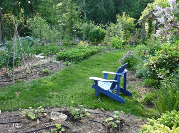 Spring Garden in the PNW